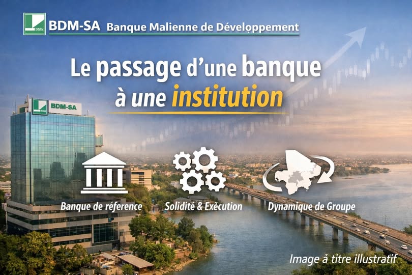 Banque Malienne de Développement (BDM-SA) : le passage d’une banque à une institution.